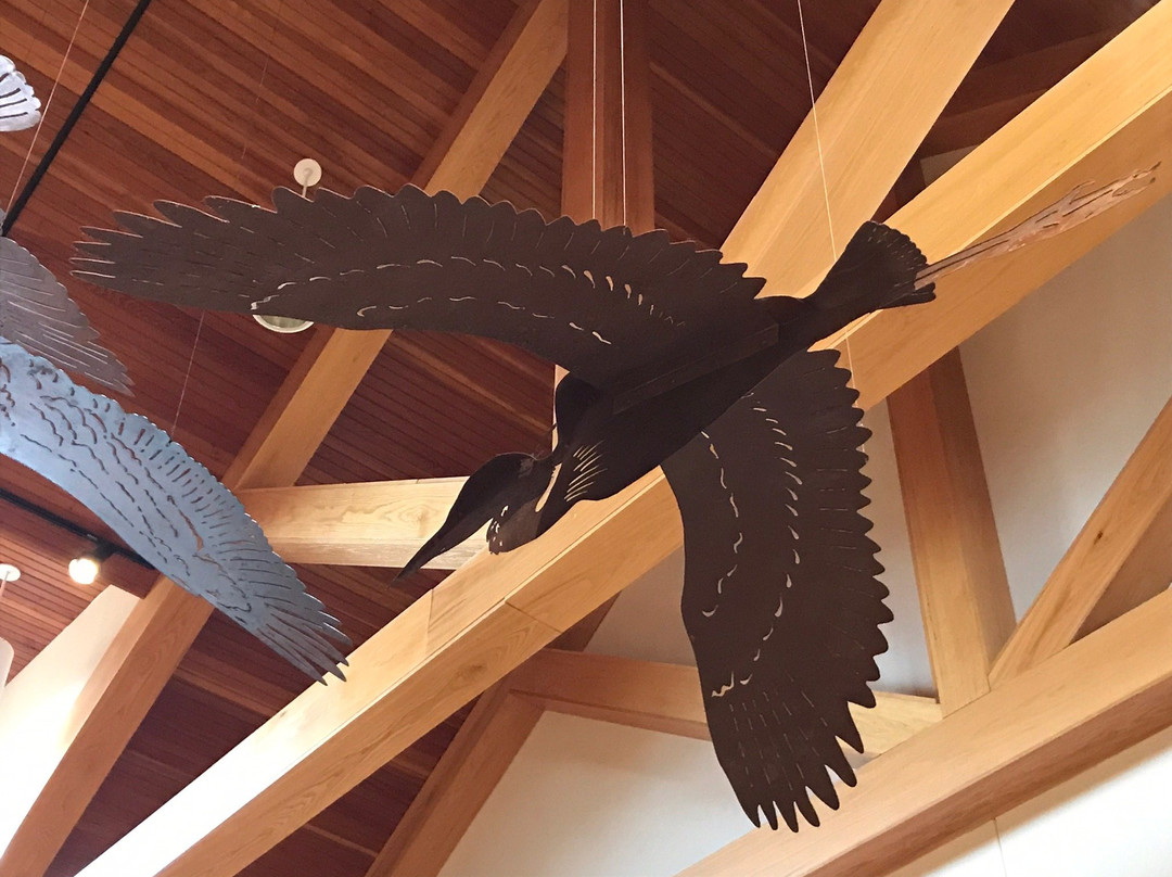 Henry N Barkhausen Cache River Wetlands Center-Cypress必去景点