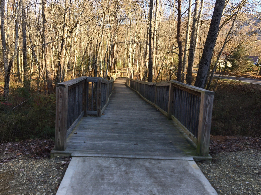 Cupid Fall Park-Young Harris必去景点