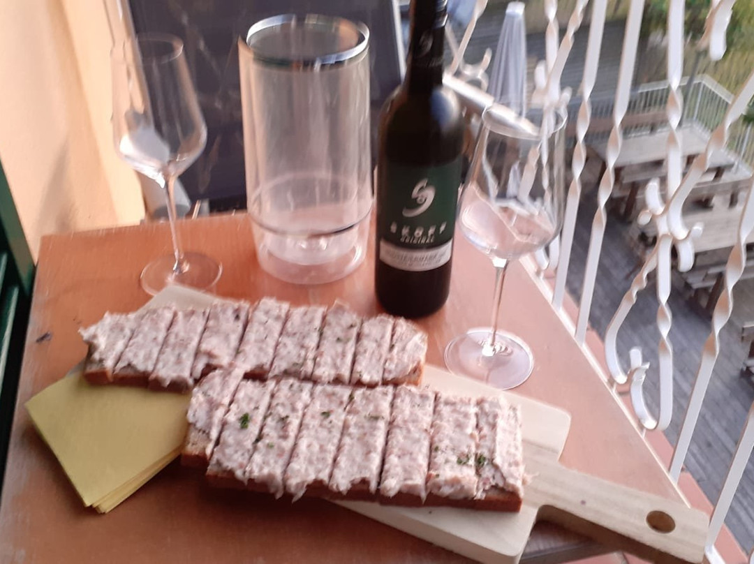 Weingut Skoff主图