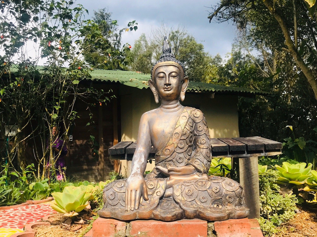 La Montana Magica主图