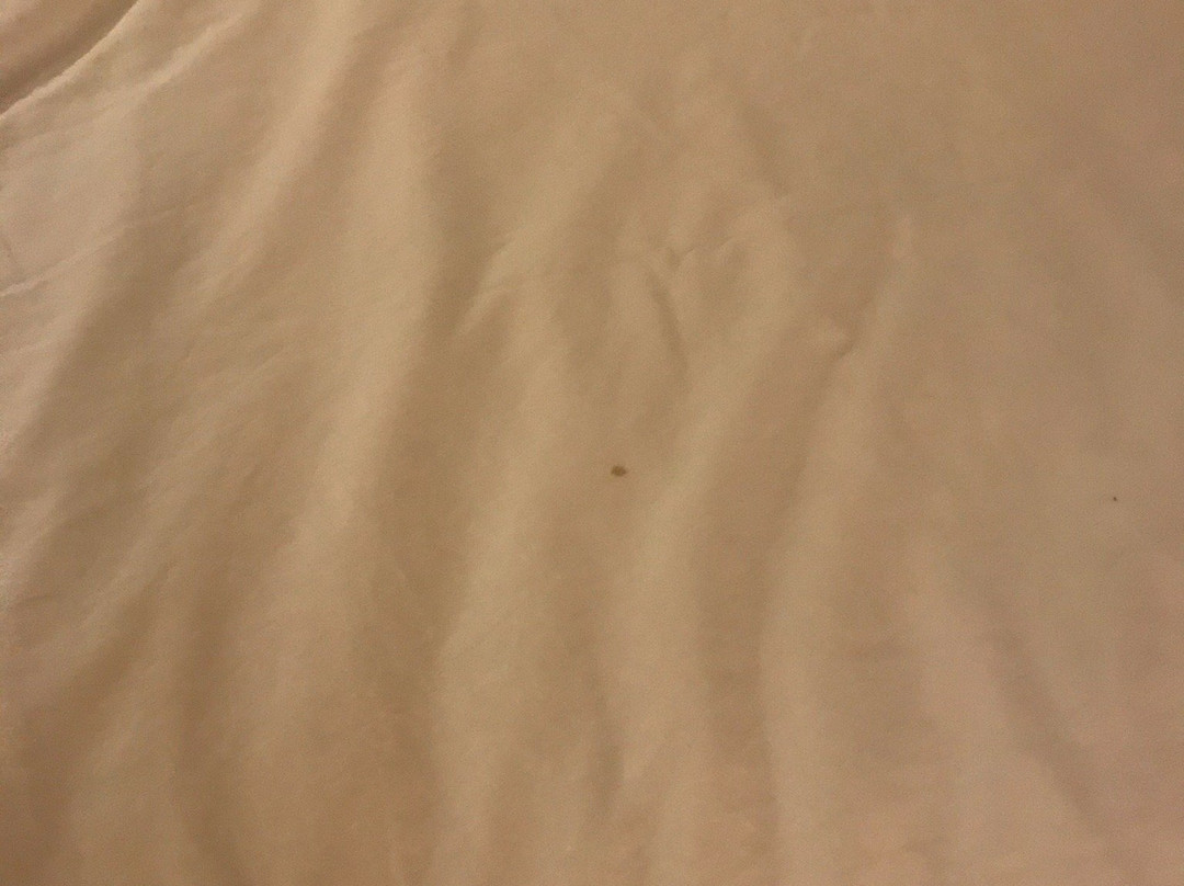 格洛布戴斯酒店主图