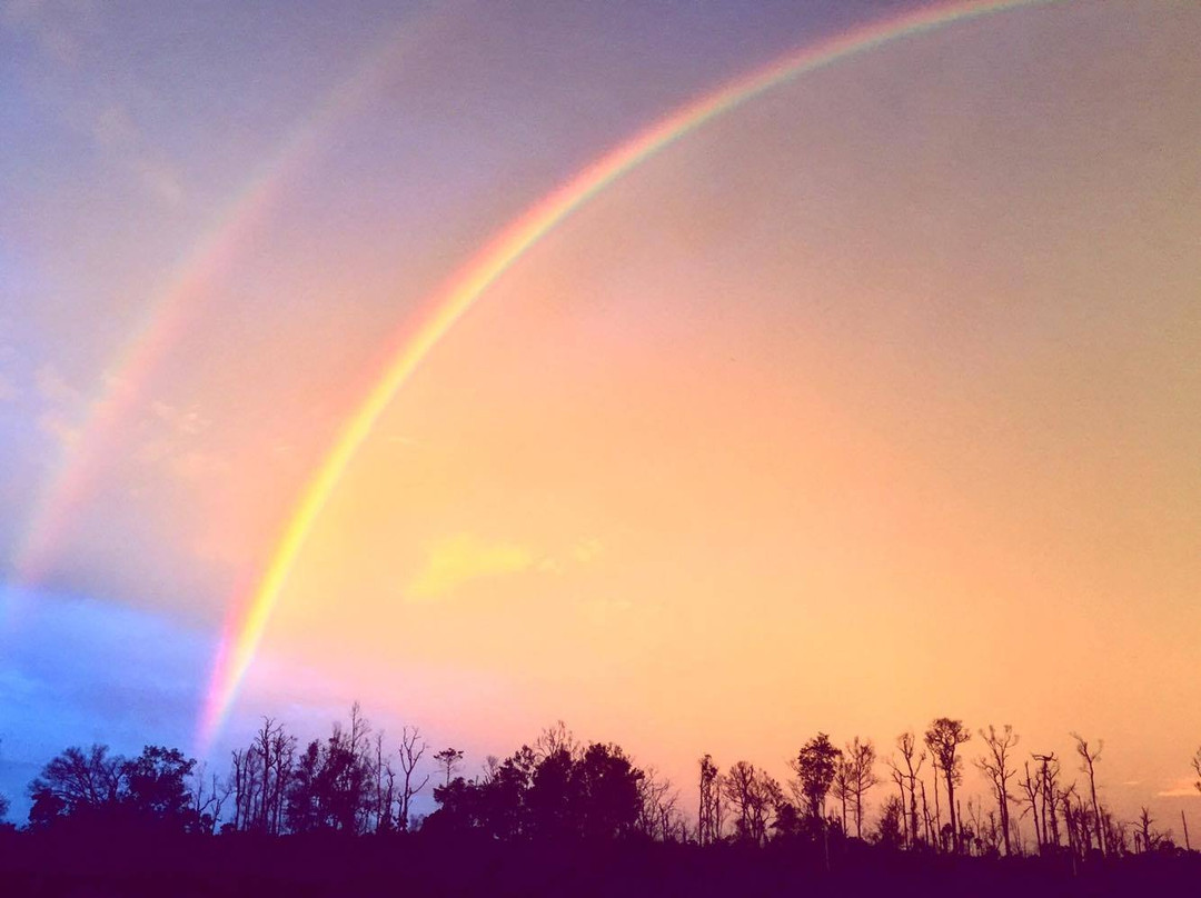 Kumai旅游攻略图片