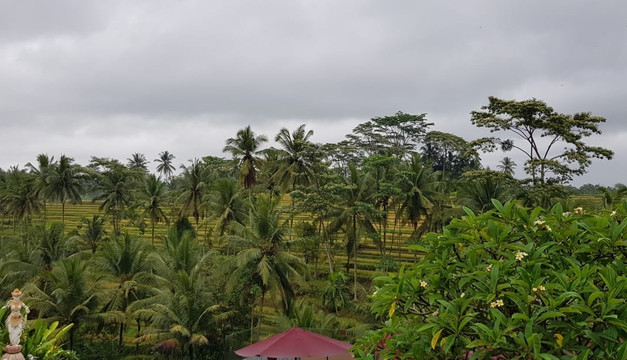 普瑞赛巴利度假村主图