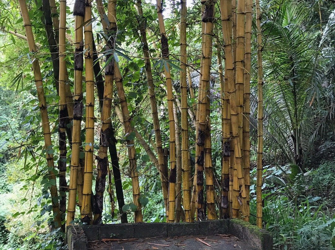 Batlag Falls-Tanay必去景点