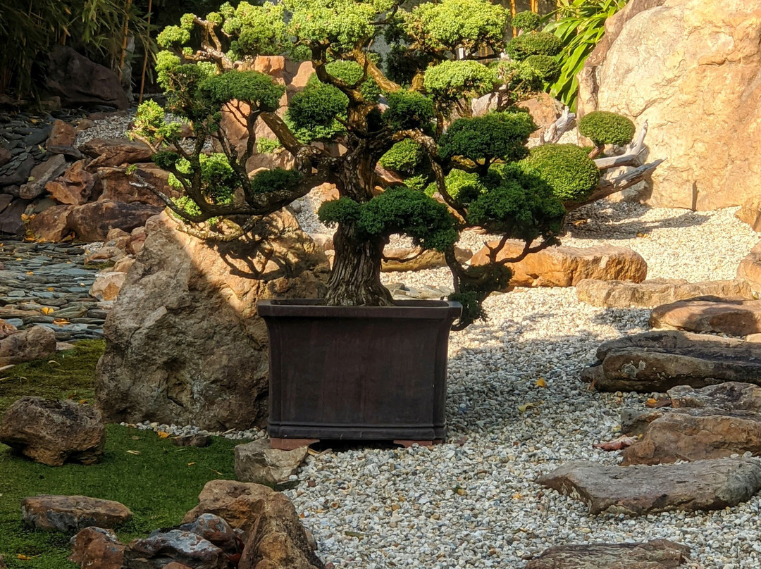 Liberec Botanical Garden-利贝雷茨必去景点