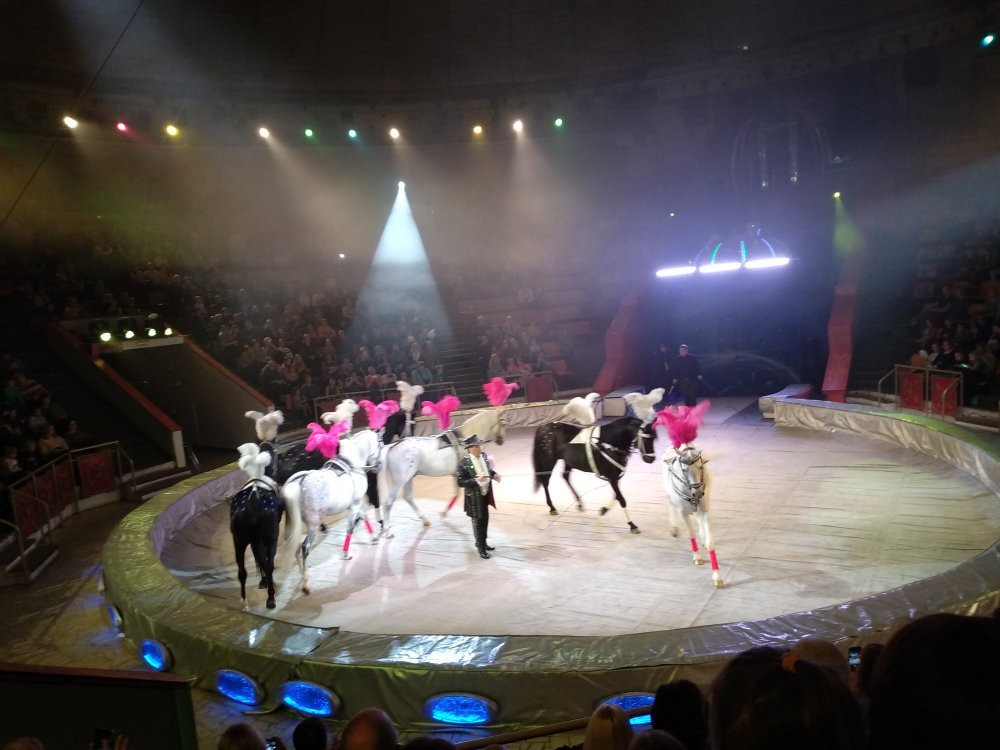 Tver State Circus-特维尔必去景点