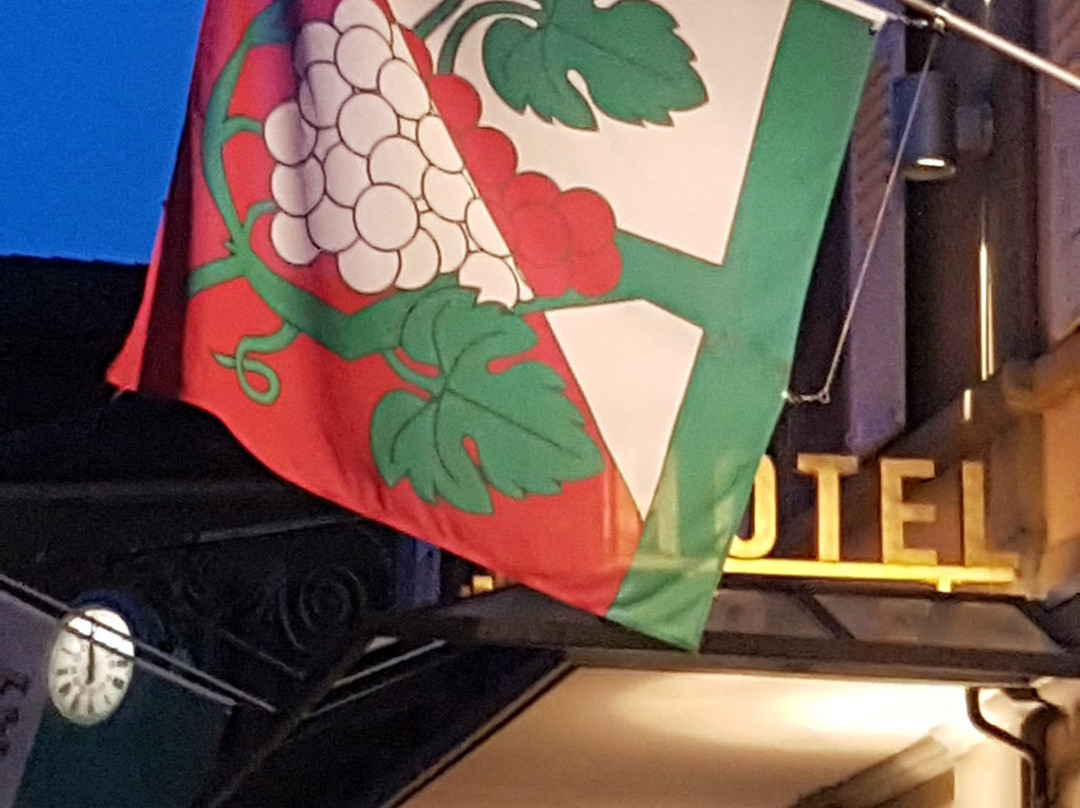 葡萄干宾馆酒店主图