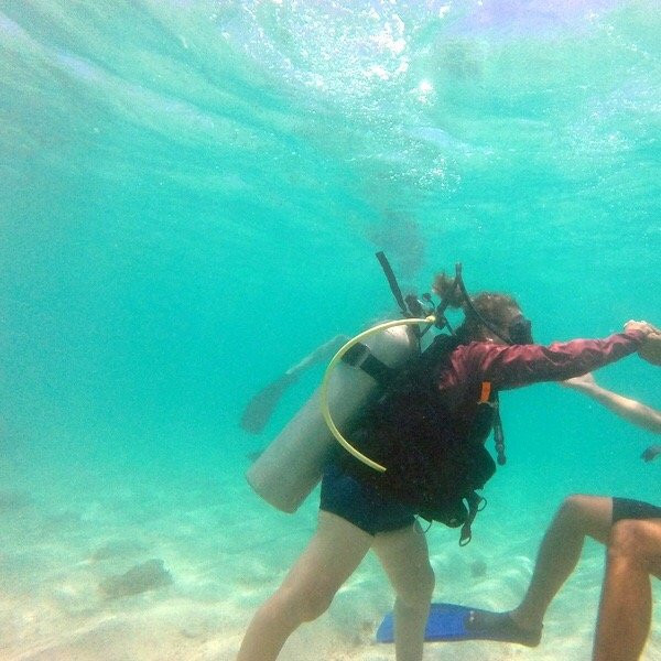 Explorer Diving-Maragogi必去景点