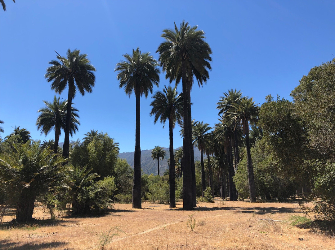 Pitrucao Outdoor-Las Cabras必去景点