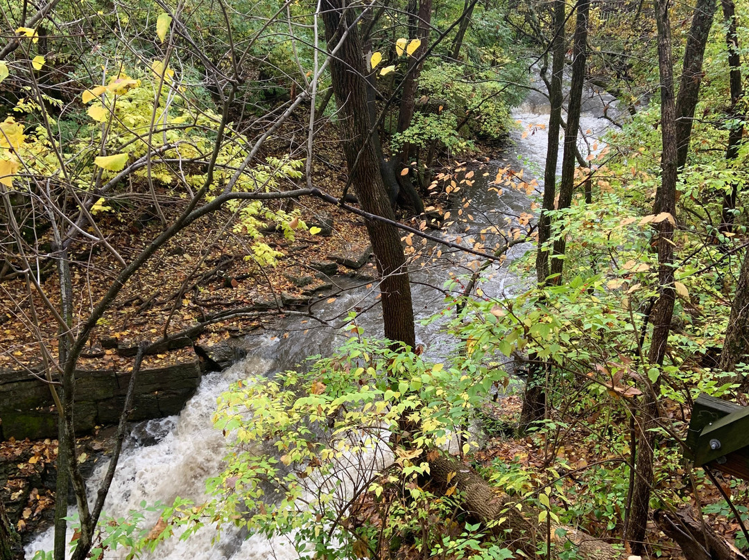 Indian Run Falls景点图片