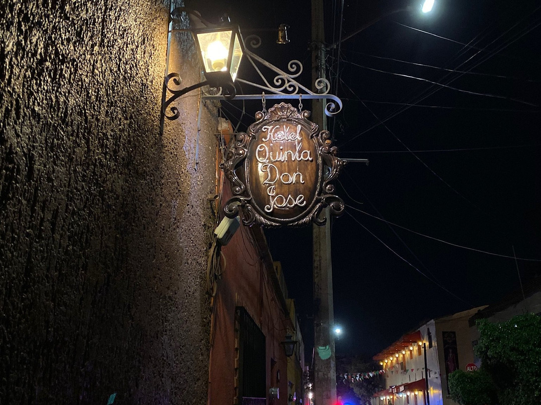 Quinta Don Jose Boutique Hotel主图