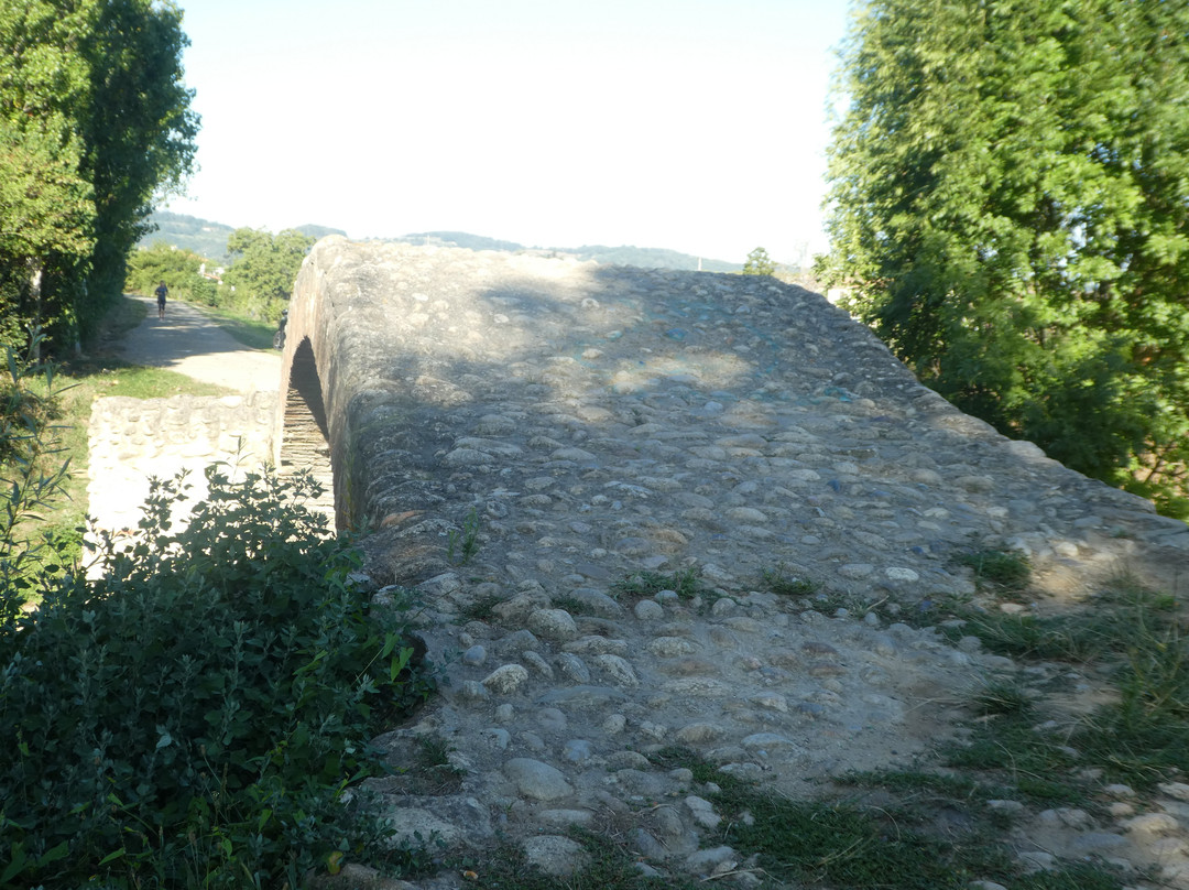 Pont Romain-Pamiers必去景点