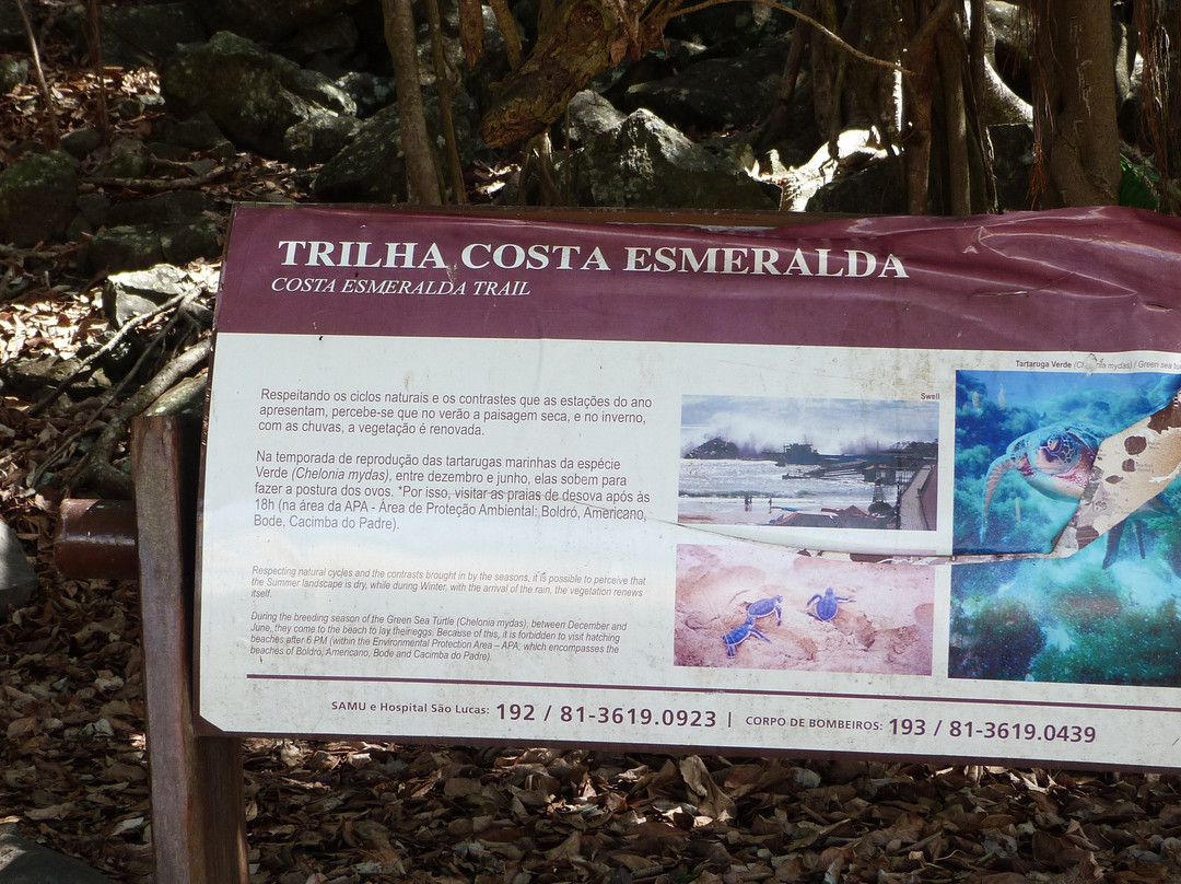 Trilha Costa Esmeralda-费尔南多-迪诺罗尼亚群岛必去景点