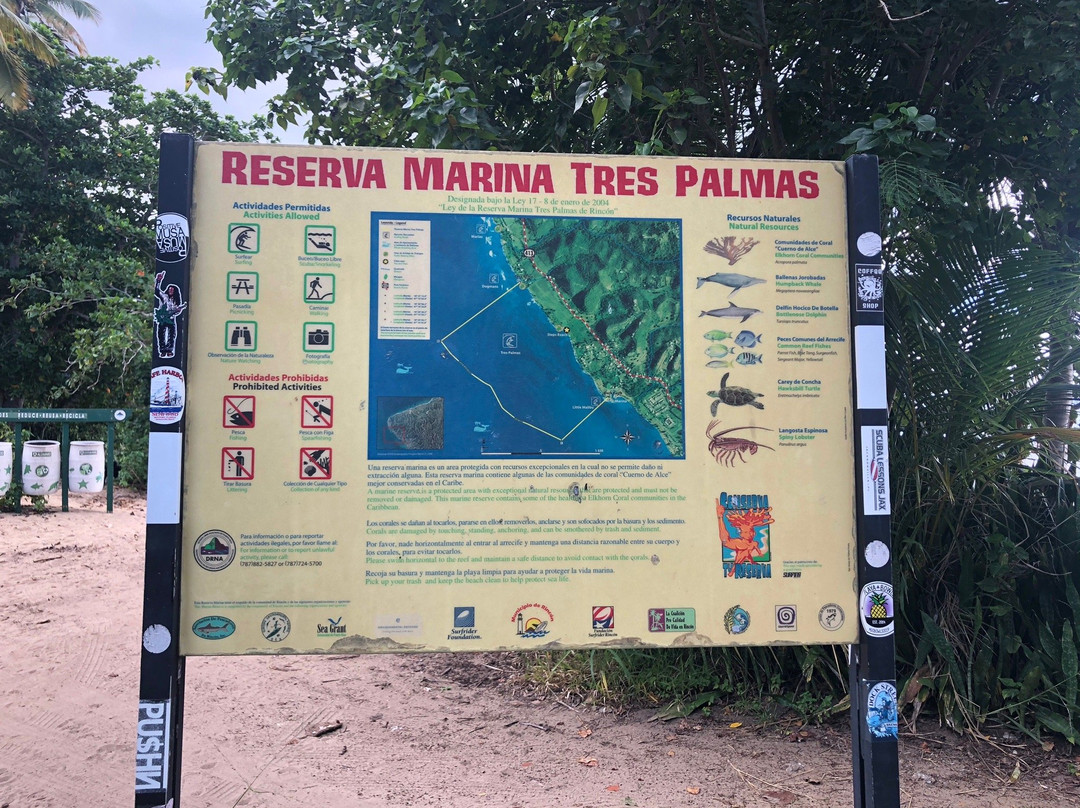 Tres Palmas Marine Reserve景点图片