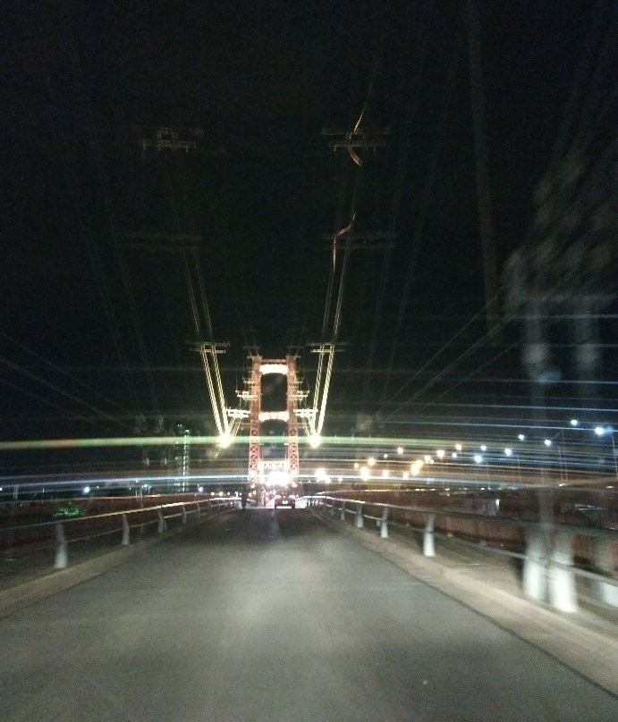 Puente Colgante Ing. Marcial Candioti景点图片