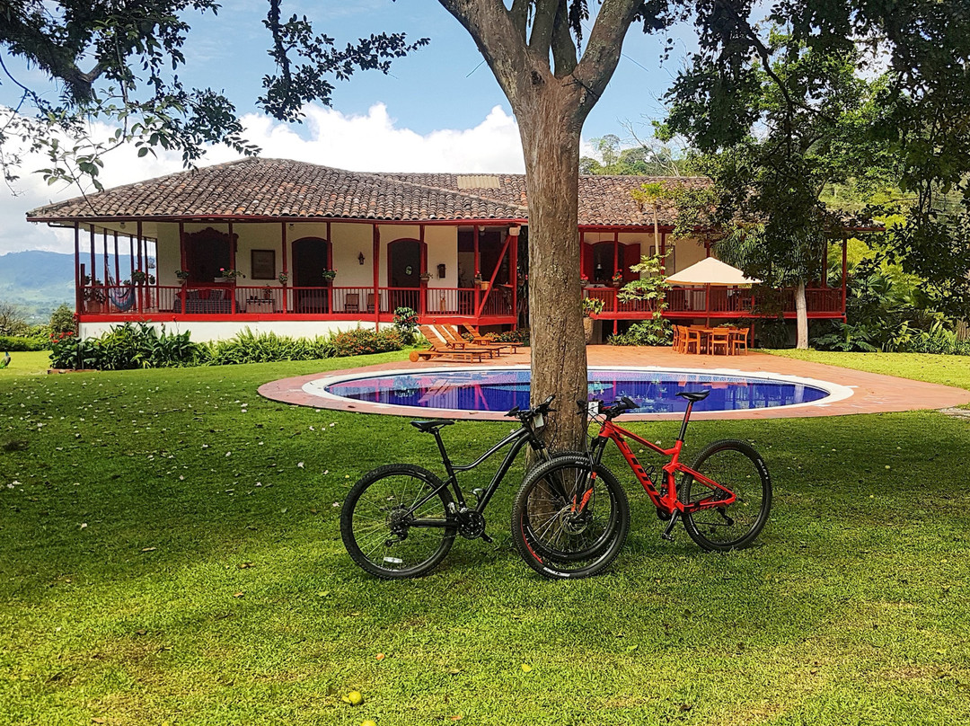 Hacienda Venecia Coffee Farm主图