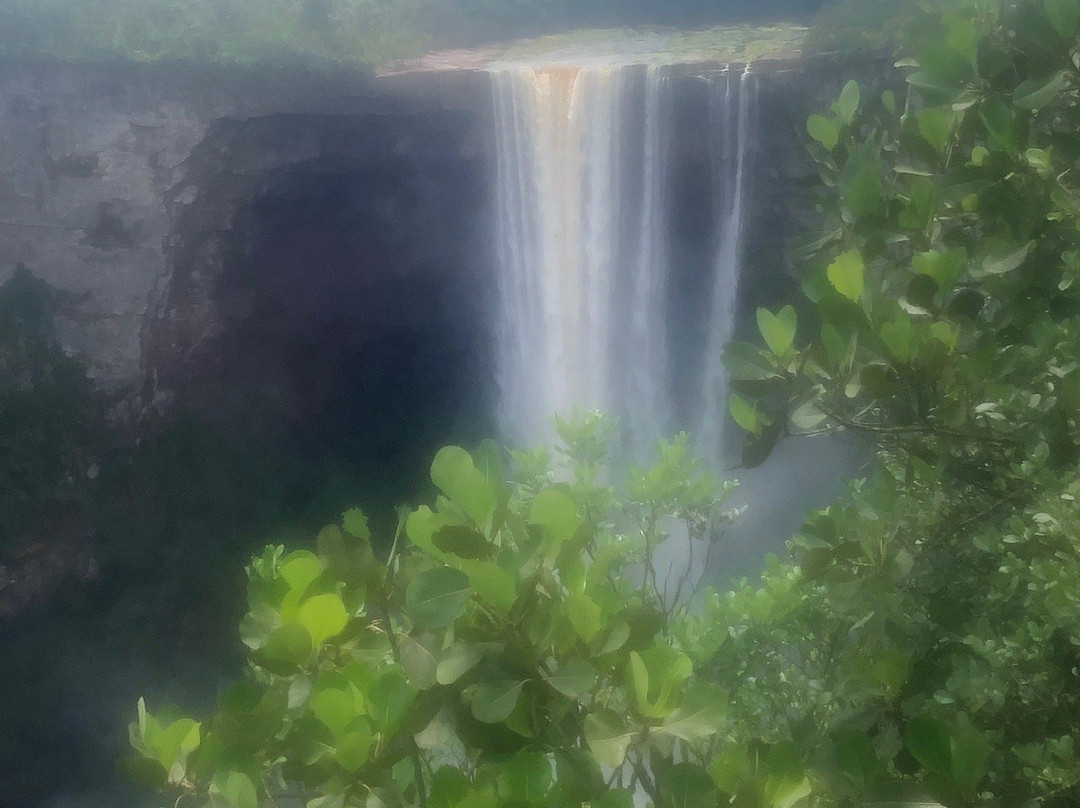 Dagron Tours-乔治城必去景点