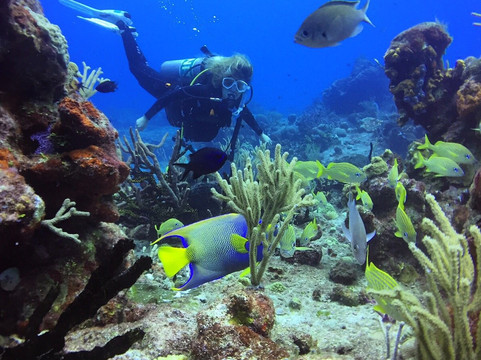 Poseidon Centro de Buceo-梅里达必去景点