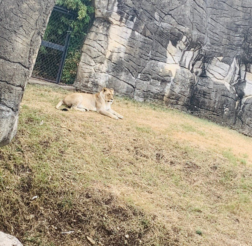 Cameron Park Zoo-韦科必去景点