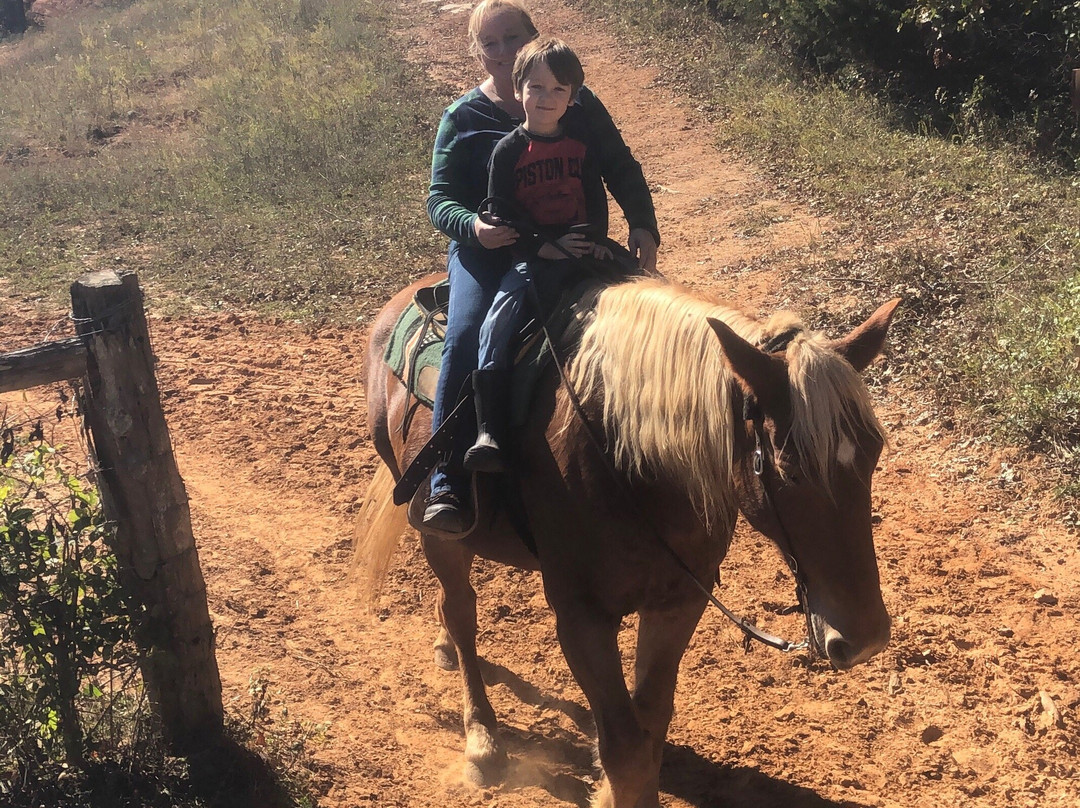Jesse James Riding Stables-Cave City必去景点
