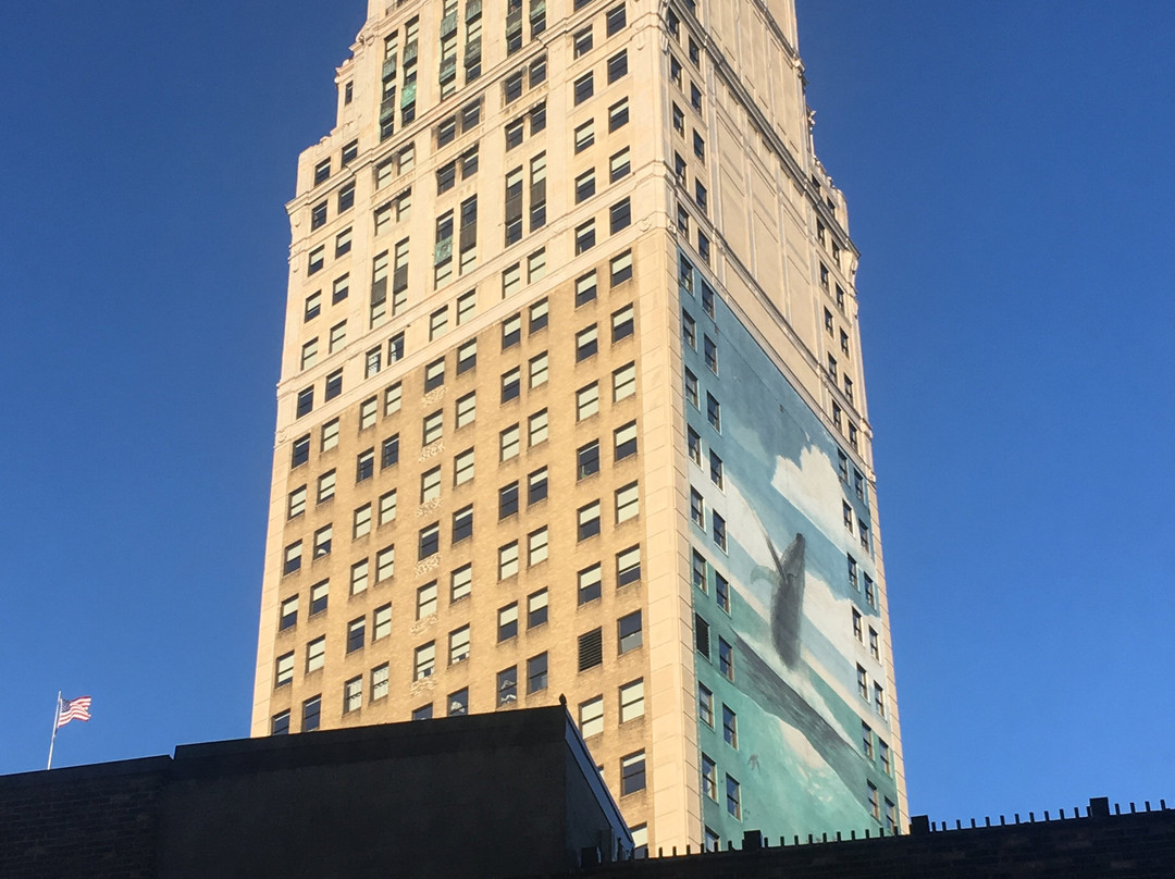 The Siren Hotel主图