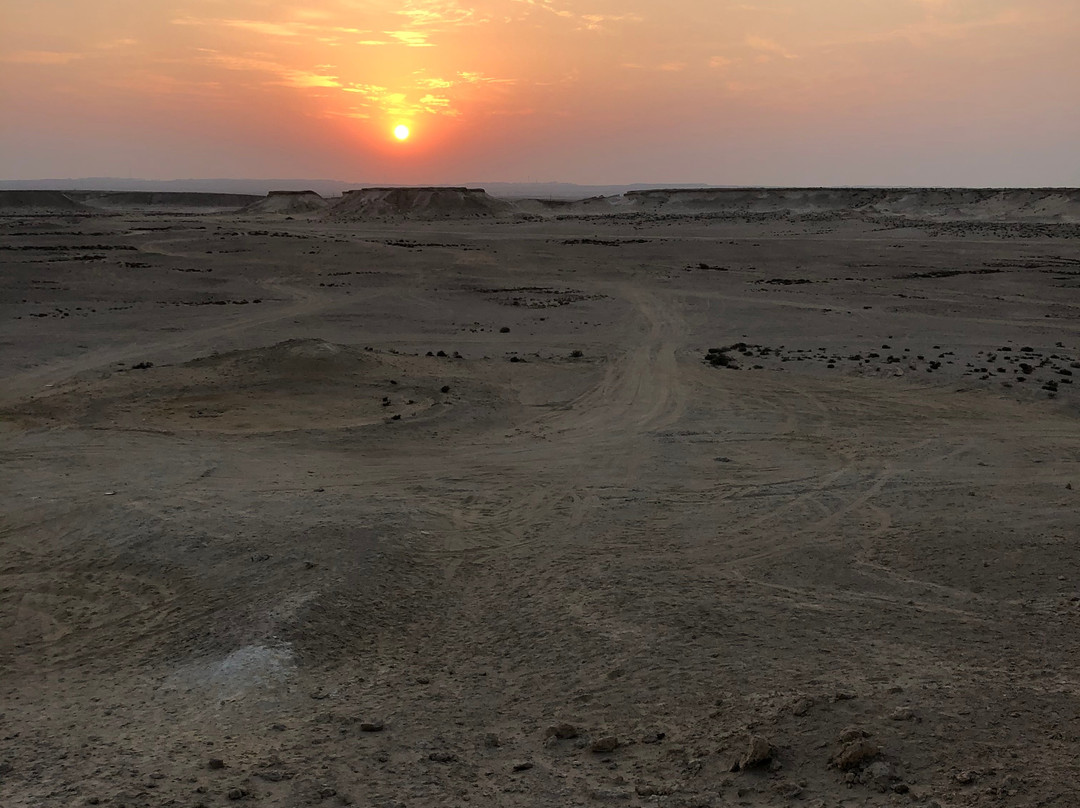 Best Tours in Qatar-多哈必去景点