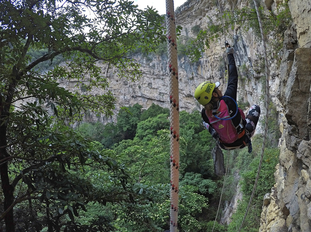 Jungla Experience-Villahermosa必去景点
