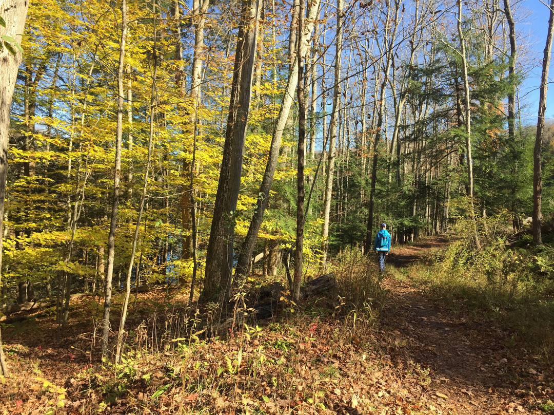 Lackawanna State Park景点图片