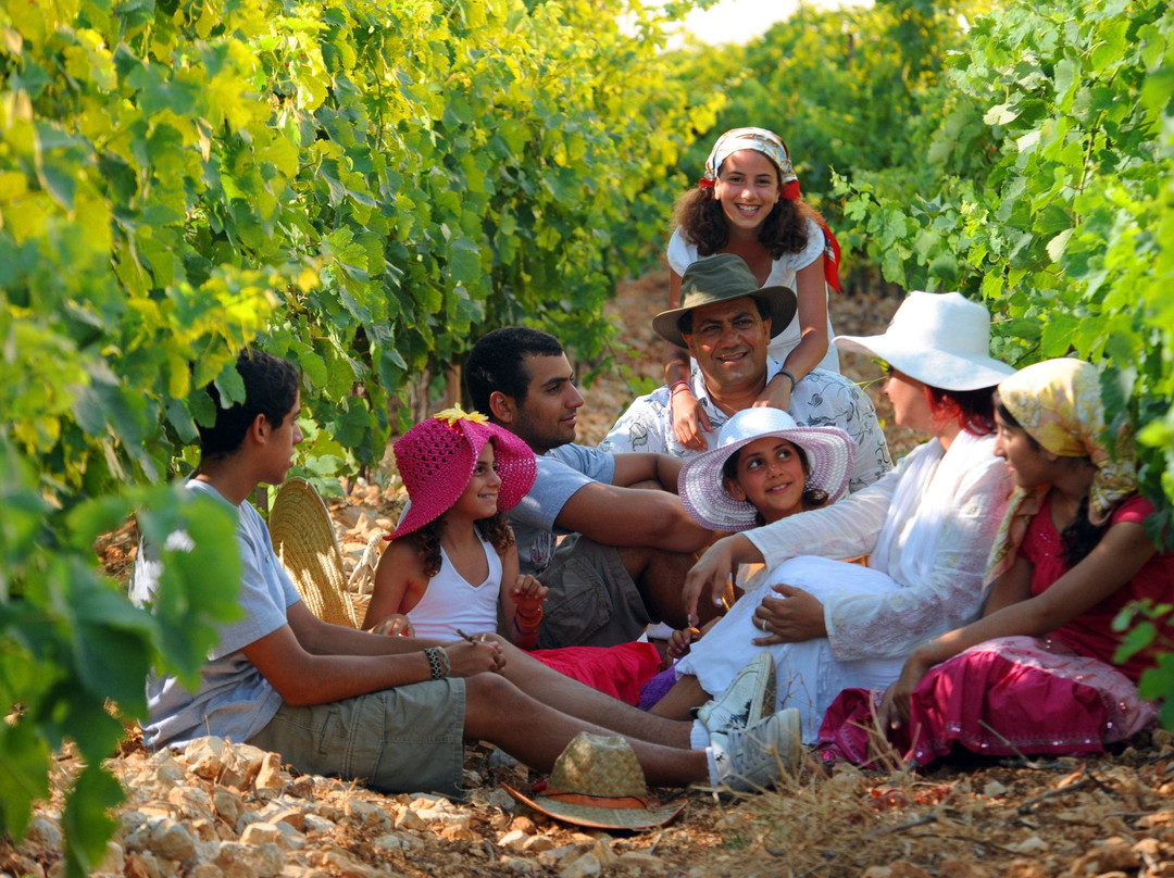 Batroun Mountains Winery景点图片