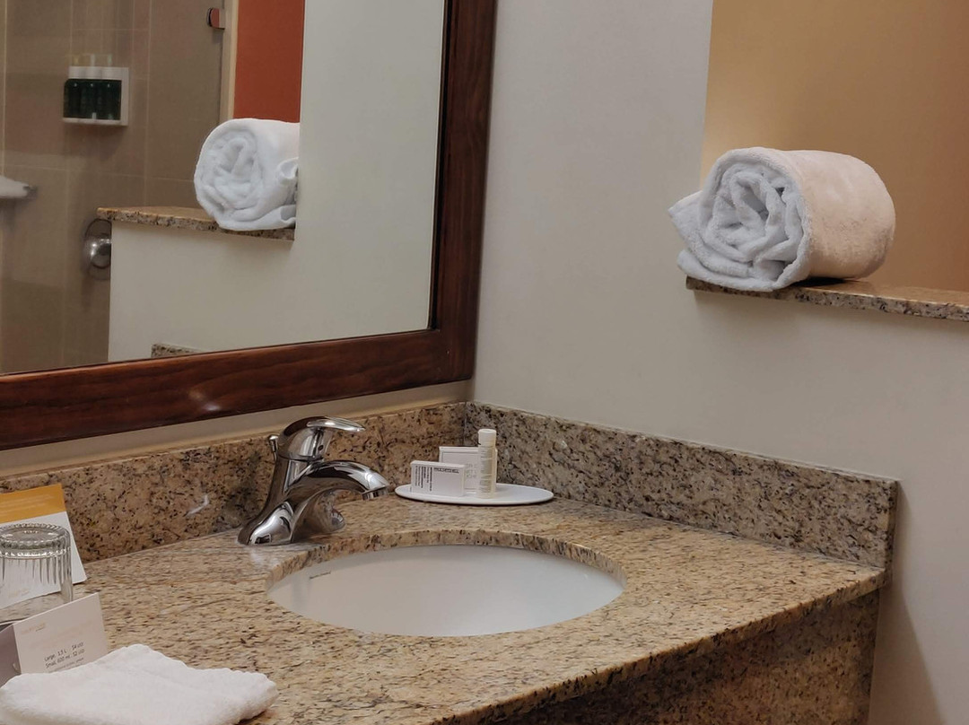 阿拉胡埃拉圣荷西机场万怡酒店主图