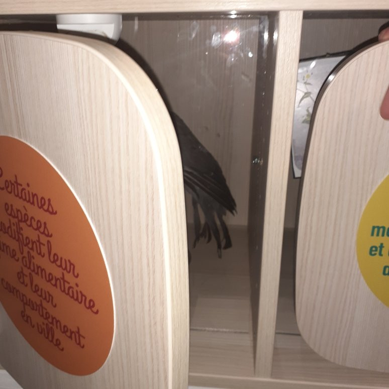 Planetarium Hubert Curien-第戎必去景点