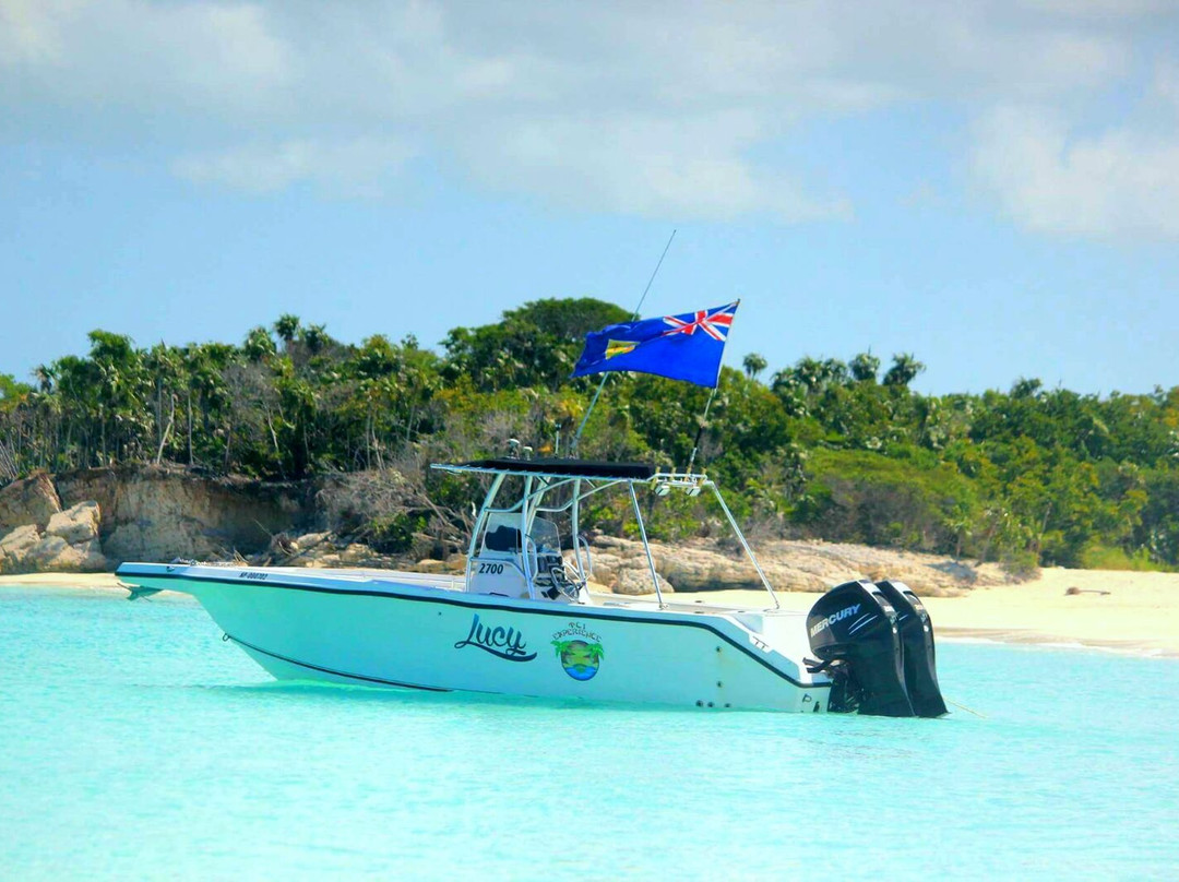 My TCI Experience-普罗维登西亚莱斯必去景点