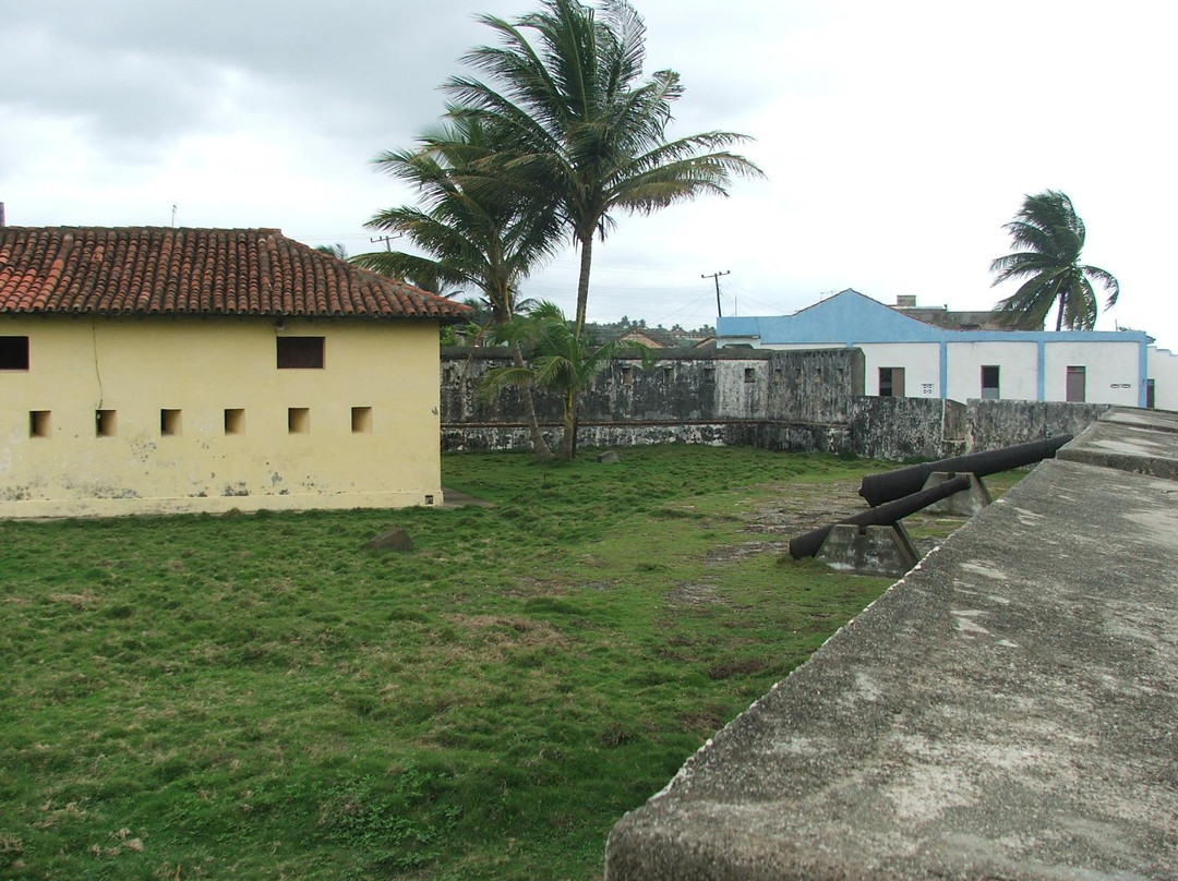 Museo Municipal del Fuerte Matachín景点图片