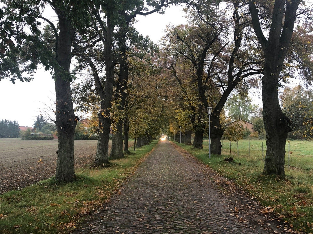 Landhotel Gut Zarrentin主图