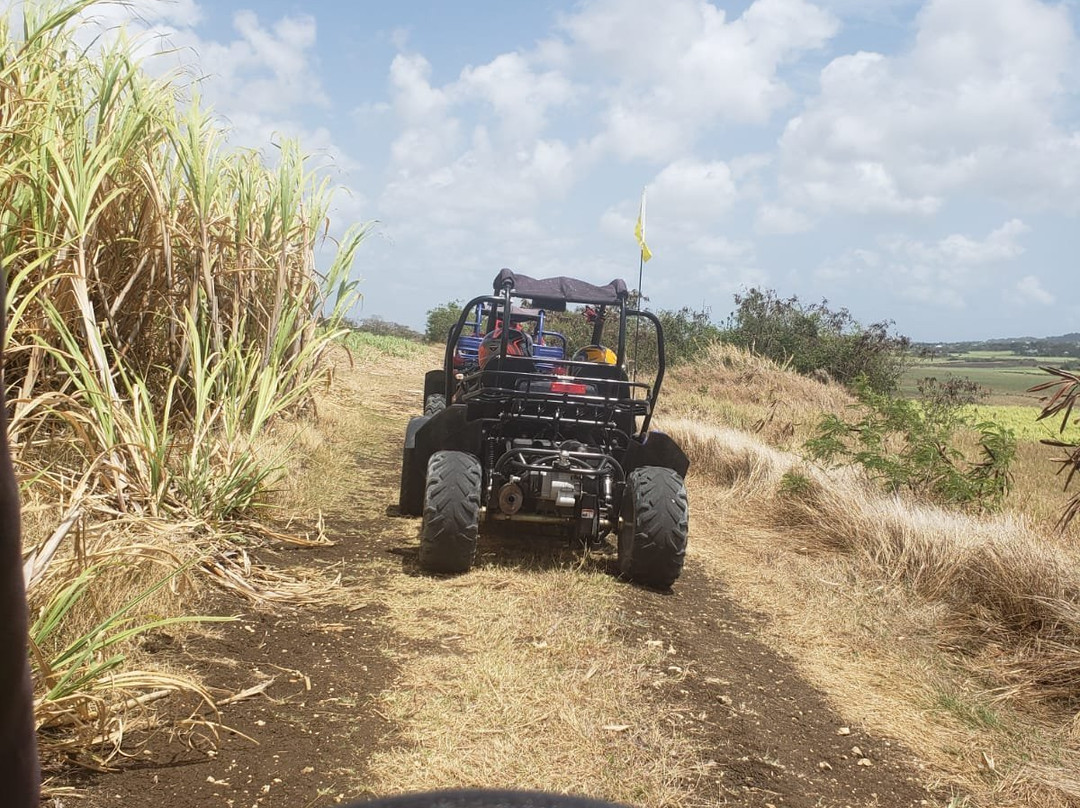 Off Road Fury Barbados-布里奇顿必去景点