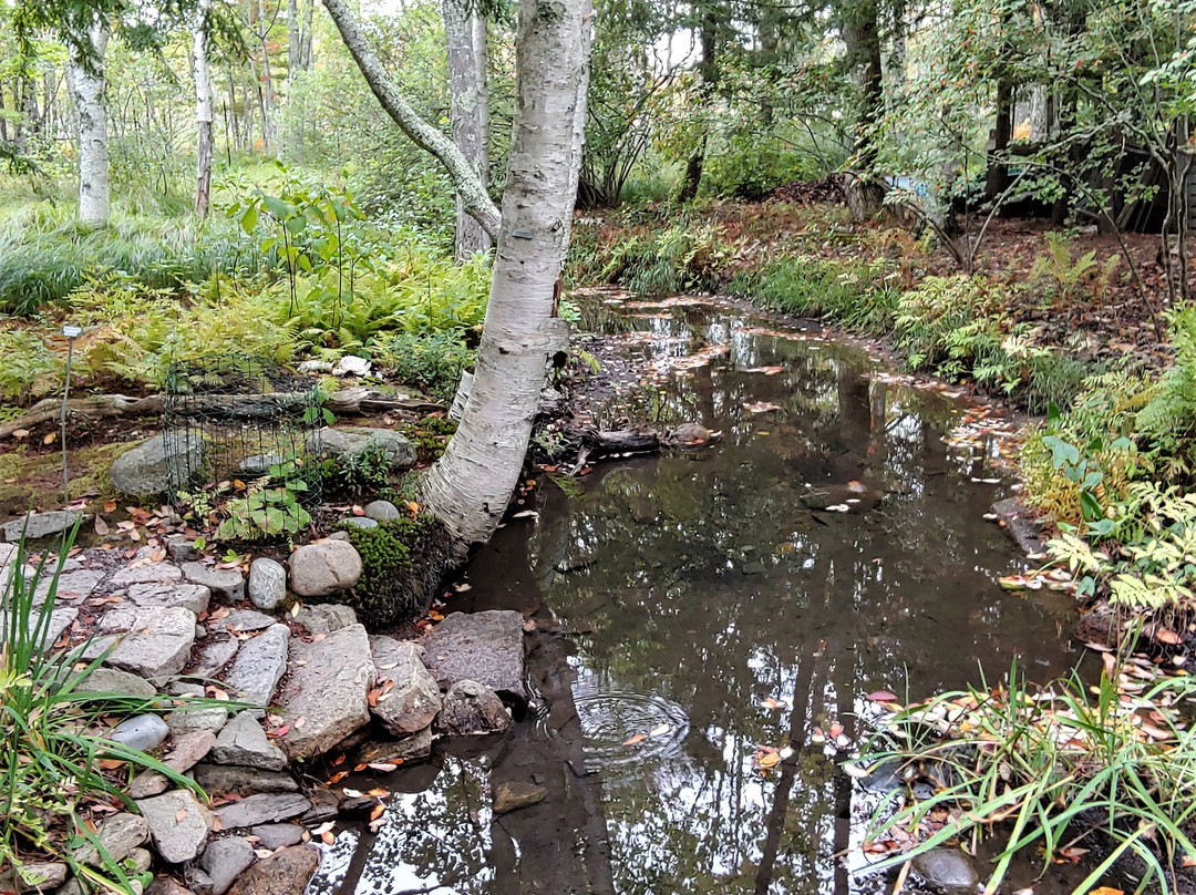 Wild Gardens of Acadia景点图片