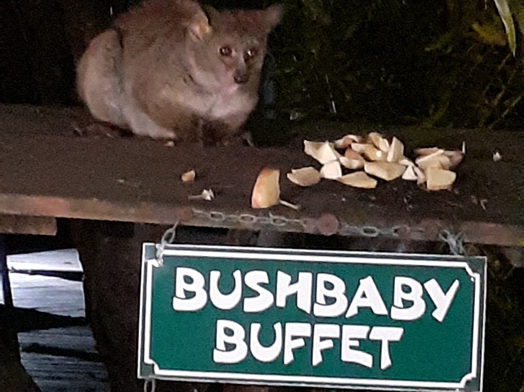 布什兰兹游戏洛奇饭店主图