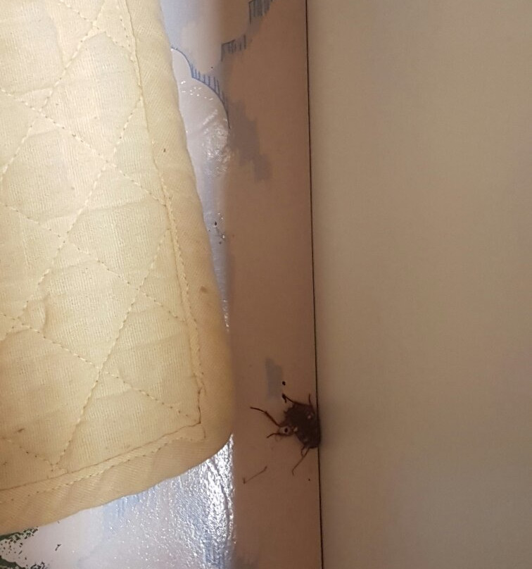 游艇码头度假酒店主图