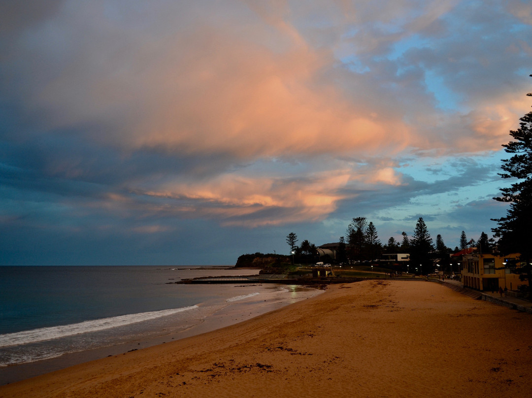 The Beach Club (Collaroy Beach)餐厅/美食点评 餐厅地址/餐厅电话/餐厅周边信息/餐厅推荐菜