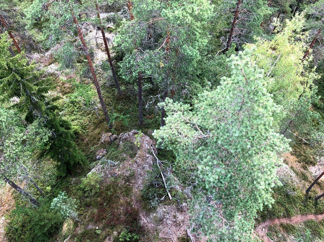 Pirulanvuori Observation Tower-Sastamala必去景点