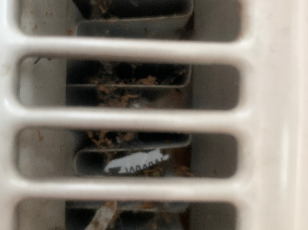 Panorama Hotel Lohme主图