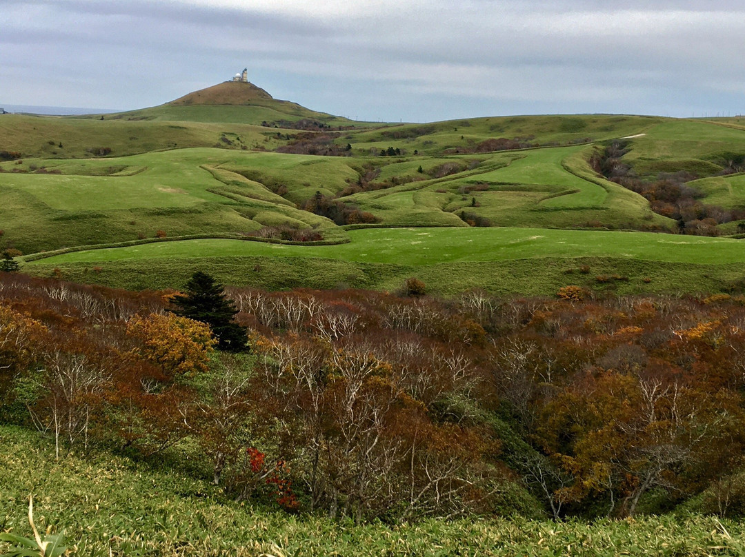 Soya Hill Periglacial Landforms-稚内市必去景点