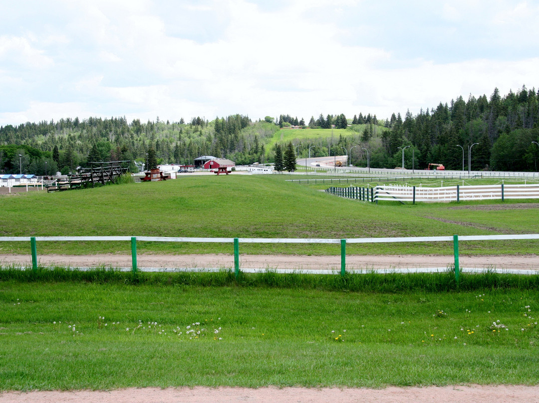 Whitemud Equine Learning Centre Association景点图片