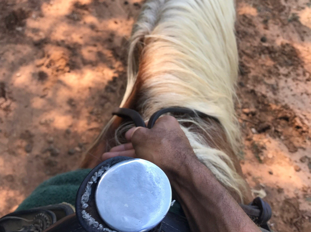 Jesse James Riding Stables-Cave City必去景点