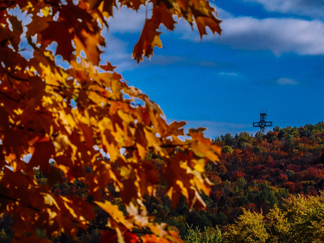 Parc du Mont-Bellevue-舍布鲁克必去景点