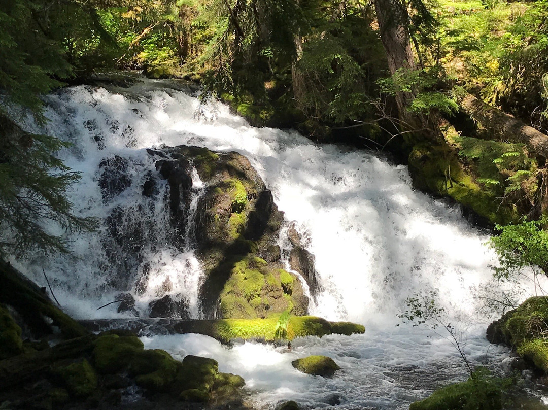 Prospect旅游景点-Pearsony Falls
