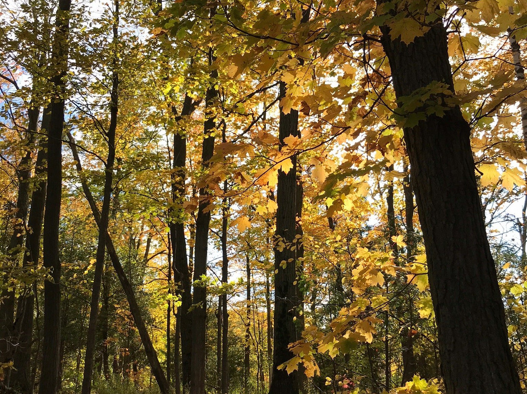 Mount Nemo Conservation Area-伯灵顿必去景点