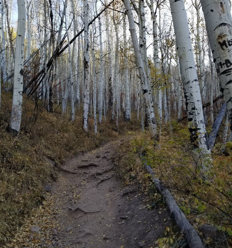 Jud Wiebe Trail-特柳赖德必去景点