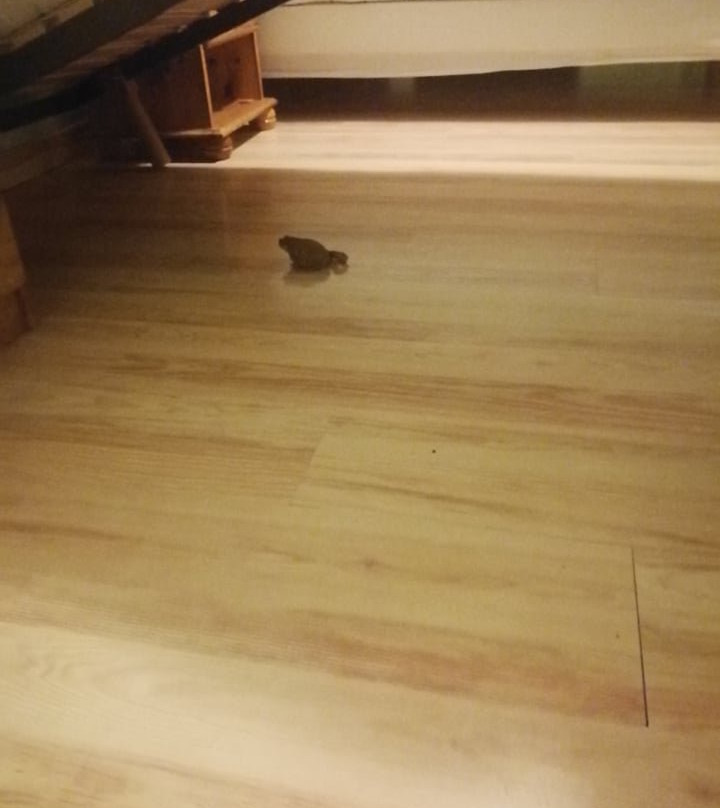 Aux Rochers de l'Ocean主图