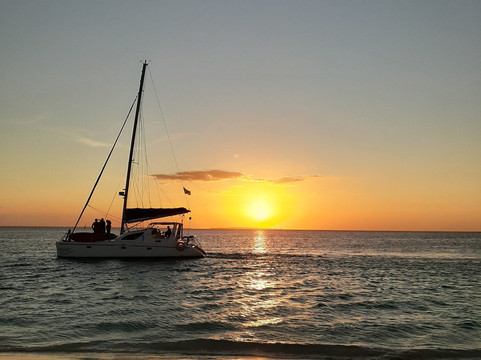 Kendwa Royal Palm主图